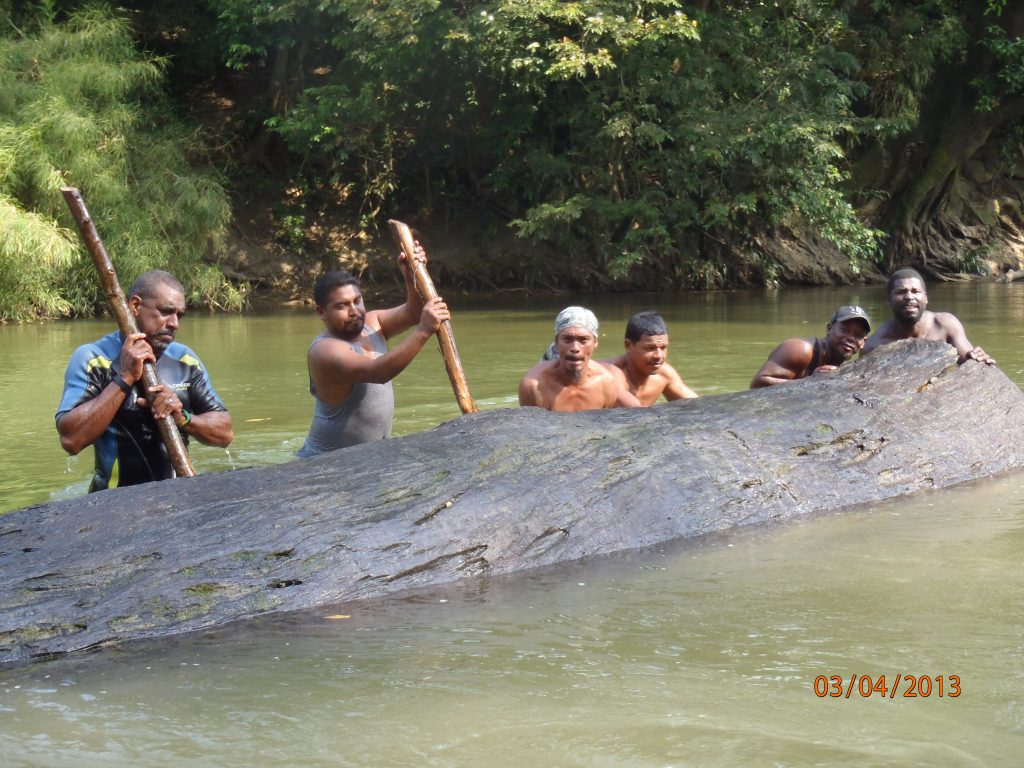The team salvage an ancient log
